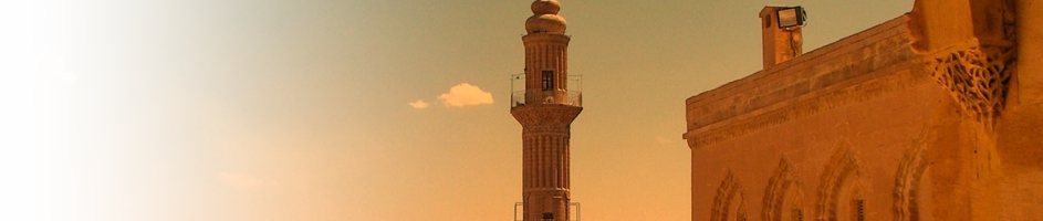 Mardin Eczacı Odası